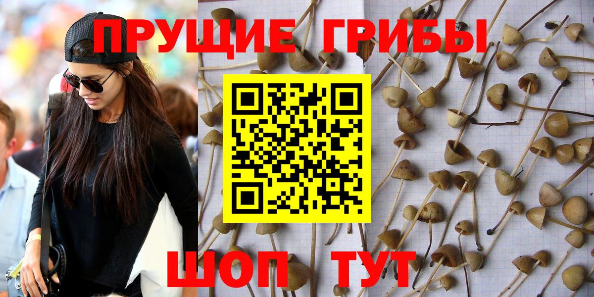 Феодосия  Галлюциногенные грибы мицелий  Вход с VPN  Галлюциногенные грибы мухоморы 